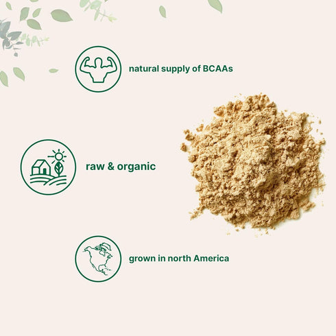 Micro Ingredients Organic Pea Protein Powder, 1KG (2.2 Pounds), Plant-Based Vegan Protein, Non-GMO, Soy Free