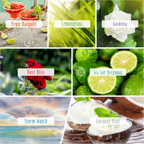 Summer 14, 20 Sets Spring and Fragrance Oils of MitFlor Bottles Premium Scented Oils for Diffuser, Soap and Candle