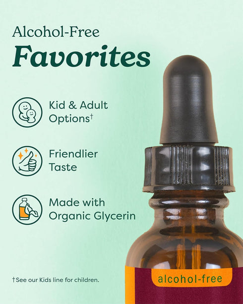 Herb Pharm Kids Certified-Organic Echinacea Glycerite Liquid Extract, Alcohol-Free, 1 Ounce
