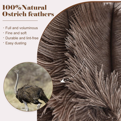 Natural Ostrich Feather Duster - 14.9 inch Fluffy Mini Dusters with Plastic Handheld for Cleaning Car, Keyboard, Office