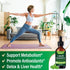 NEW AGE Chlorophyll Liquid Drops - Natural Concentrate for Energy, Digestion, Immune Support, and Liver Function (2 Fl