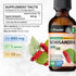 Organic Schisandra Tincture - Natural Adaptogen for Mood Support - Alcohol and Sugar Free Schisandra Berry Liquid