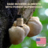 Lions Mane Supplement Capsules - 120 Caps - with Turkey Tail for Nootropic Brain Fog, Focus, Memory, Nerve Function,