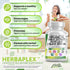 Immune D3 2Pack Clean Nutraceuticals Oregano Oil Garlic Extract Olive Leaf Black Seed Oil - Support & Digestive Health