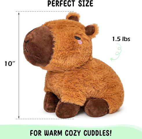 Capybara Microwavable Unscented Heating Pad, 1.5 lbs Plush Heatable Pillow for Women and Kids, Cute Cozy Stuffed Animal