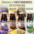 Set (Pack 4 0.5 Oz) GuruNanda Essential Oils of x Fl - Pure, Natural Frankincense, Lavender, Eucalyptus & Orange