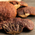 PURE ORIGINAL INGREDIENTS (1lb) Reishi Mushroom Lingzhi, Traditional Supplement, Non-GMO, Lab-Verified
