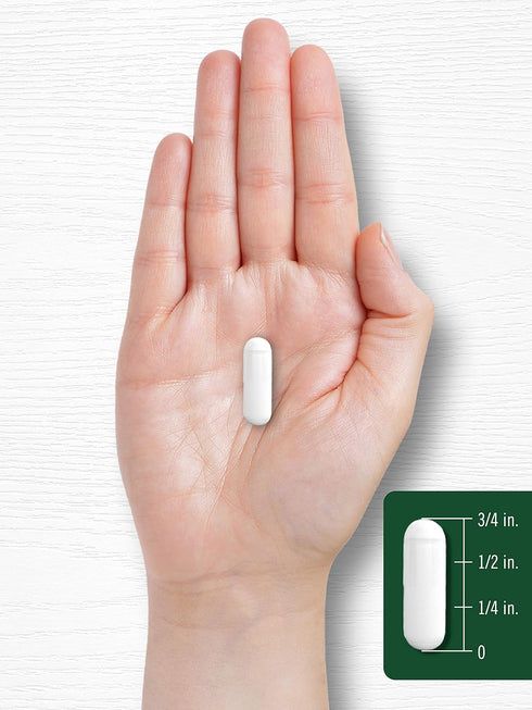 Carlyle Devils Claw 2000mg - 200 Capsules of Concentrated Root Extract - Non-GMO, Gluten Free Herbal Supplement