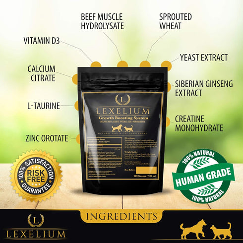 Weight Gainer Supplement for Dogs & Cats - Muscle Building & Appetite Stimulation, 100% Natural Pet Supplement, 200g