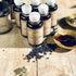Anima Mundi Organic Black Elderberry Syrup - 4oz with Skullcap Baikal, Cordyceps, Reishi, Shiitake & Maitake Mushrooms