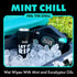 DUDE Wipes Summer Kit - FrostBuddy Universal Can Cooler + Extra-Large Flushable Wet Wipes - 48 Wipes