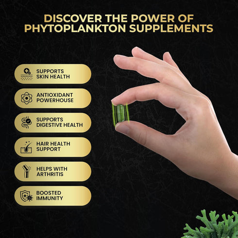 Marine Phytoplankton Capsules, 90 Vegan Capsules - Natural Energy, Immune, Cognitive Support