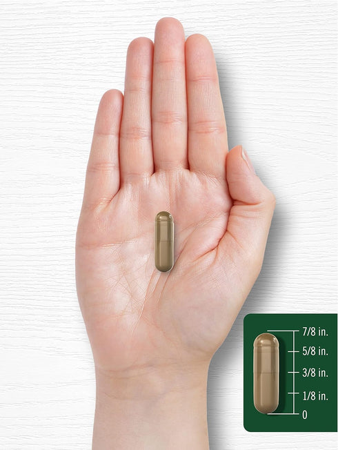 Carlyle Fennel Seed 480mg - 200 Capsules, Non-GMO Herbal Supplement