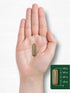 Carlyle Fennel Seed 480mg - 200 Capsules, Non-GMO Herbal Supplement