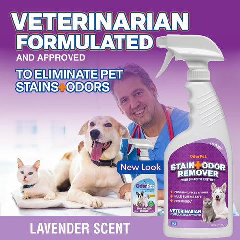 Stain And Odor Remover - 16 oz Ready to Use Spray - Lavender Scented Pet Odor Eliminator for Carpet, Floor and Furniture by Alpha Tech Pet