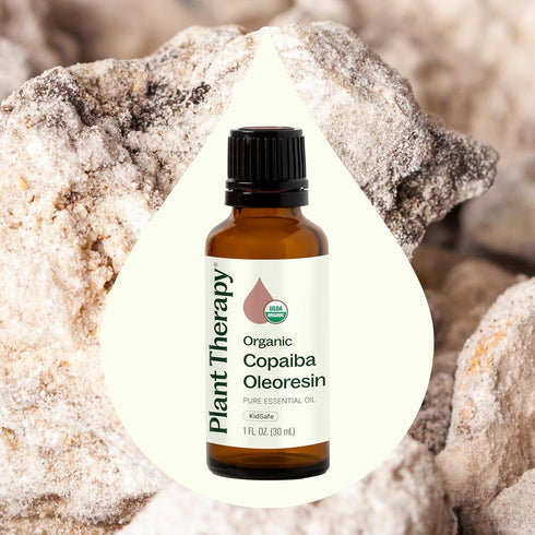 Plant Therapy Copaiba Oleoresin Organic Essential Oil 100% Pure, Natural Aromatherapy, 30 mL (1 oz)
