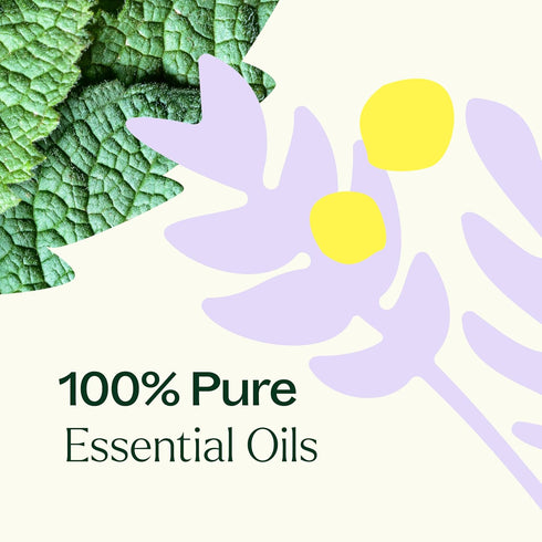 Plant Therapy Chakra 5 True Expression Essential Oil Blend, Throat Chakra, 10 mL (1/3 oz) 100% Pure, Therapeutic Grade