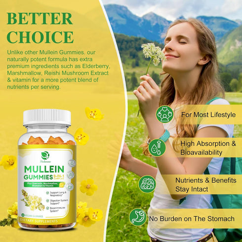 (2 Pack) 9 in 1 Mullein Gummies for Lung Cleanse, Extra Strength 10000MG Mullein Leaf Extract with Quercetin - 120 Ct