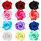 Yilloog 12 Pack Rose Hair Clip, 2.8'' Hairpin Floral Brooch, Mexican Hair Flowers, Party Supplies for Women
