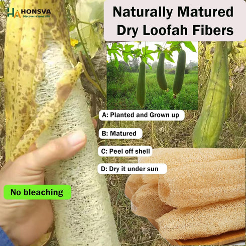 Natural Loofah Kitchen Sponge, 6 Pcs, 100% Plant Fibers Vegetable Scrubber, Eco Friendly