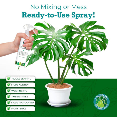 Leaf Armor Spray for Houseplants, Protects Against Fungal Spots, Gentle Natural Formula, 8 oz Made in USA