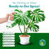 Leaf Armor Spray for Houseplants, Protects Against Fungal Spots, Gentle Natural Formula, 8 oz Made in USA