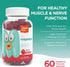 Chapter One Magnesium Gummies, Great Tasting Magnesium for Kids, Calm Kids Magnesium, Certified Kosher (60 Flavored