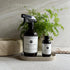 Murchison-Hume All Purpose Cleaner Spray | Plant Based Multi-Surface | Non-Toxic | Food & Pet Safe | Stone & Marble