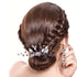 PAGOW 2PCS Leaf Hair Combs, Purple Rhinestone Hair Clips for Women, Girls, Bride, Bridesmaid