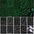 TailaiMei 9 Sheets Halloween Nail Stickers | Glow in The Dark Fluorescent Design Nail Decals for DIY Manicure