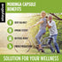 STAY ALIVE Pure Moringa Capsules, 20000mg Equivalent - 120 Vegan Moringa Pills for Immune & Digestive Support