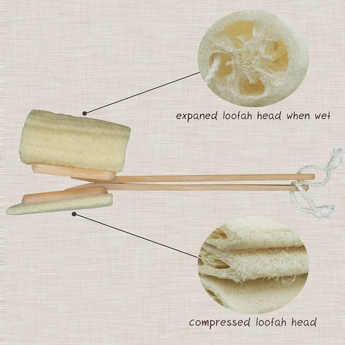 Natural Exfoliating Loofah Luffa Back Sponge Scrubber Brush with Long Wooden Handle, Body Shower Bath Spa, Pack of 1