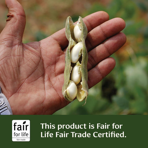Banyan Botanicals Mucuna Pruriens – Organic Herbal Tablet, Energizing, Supports Healthy Nervous & Reproductive Systems,