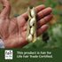 Banyan Botanicals Mucuna Pruriens – Organic Herbal Tablet, Energizing, Supports Healthy Nervous & Reproductive Systems,