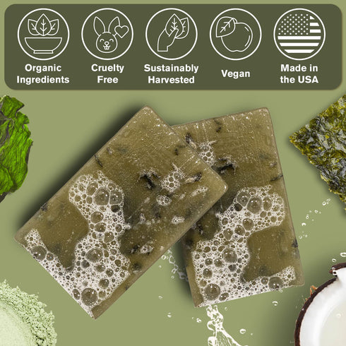 Ness Mens Soap Bar - Maritime Moss Scent, Natural Soap with Organic Ingredients, Handmade in the USA