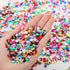 Loose 6 mm Round Rainbow Sequins with Holes for Crafts, Storage Box Included, Iridescent Spangles for Jewelry Making
