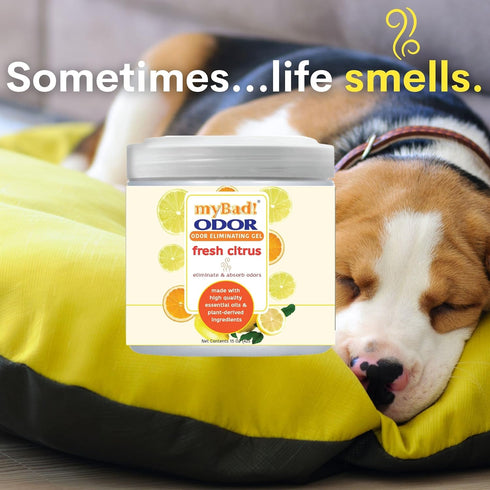 Odor Eliminator Essential Oil Gel, 15 oz, Air Freshener, Eliminates Odors in Bathroom, Pet Area, Closets (Fresh Citrus,