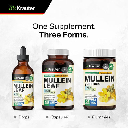 BIO KRAUTER Mullein Capsules for Lung Detox 1200 mg - 250 Count - Vegan Mullein Leaf Capsules for Respiratory Support -