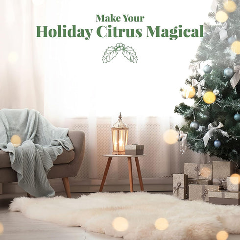 Citrus Magic 3-Ounce Holiday Odor Eliminating Air Freshener Spray, Pack of 3