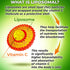 Liposomal Vitamin C Liquid Gel Capsules - 1100mg, Organic Acerola Cherries, Immune Support, 120 count