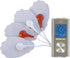 SPT UC-031: Rechargeable Electronic Pulse Massager