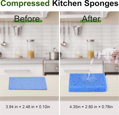 15 Pcs Cellulose Sponges Kitchen, 5 Colors Non-Scratch Colorful Sponges, Biodegradable Compressed Sponges, Large Cellulose Sponge for Kitchen, Bathroom, Cars, Funny Cut-Outs DIY by TaShow