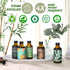 Folkulture Eucalyptus Essential Oil 4 Fl Oz - 100% Pure, Natural and Undiluted with Glass Dropper
