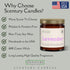 Scentury Apple Maple Bourbon Scented Candle, Many Scents to Choose from, All Natural Non-Toxic Soy Wax, Handmade in The