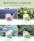 Set 4 Pack 28 oz 200 AOOVOO Calm Candles for Women - Candles for Home Scented, Hour Burn, Aromatherapy Candle