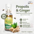 Beelife Propolis Throat Spray 30ml - Natural Immune Support, Soothing Honey & Ginger, No Sugar, Gluten-Free