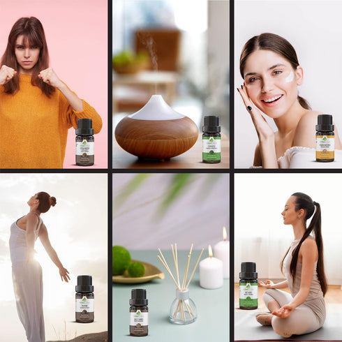 Set (10ml 6 Vinevida Essential Oils for Aromatherapy, Massage, and Skin Care Each), Top Picks for Spiritual Peace.