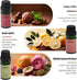 Set, Essential Oil Pure Bliss Fragrance Oils for Diffuser, Aromatherapy Collection, All Seasons Scents (Sweet Dreams)