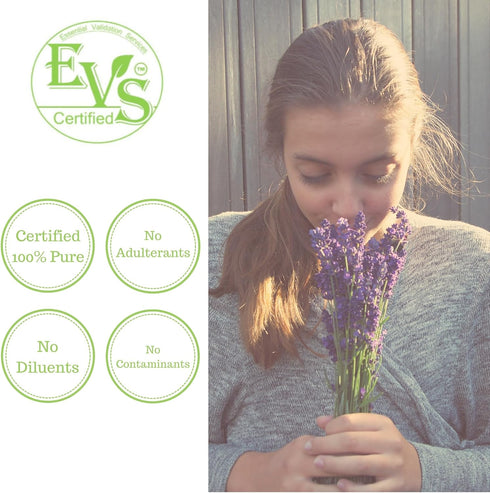 Bulgarian Lavender Essential Oil by Pure Body Naturals, 4 Fluid Ounce, 100% Pure Therapeutic Grade for Diffuser