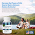 Life Source Basics Immune System Support Activator - 500 mg Beta 1,3/1,6 Glucan - Non-GMO & Vegan - 60 Capsules